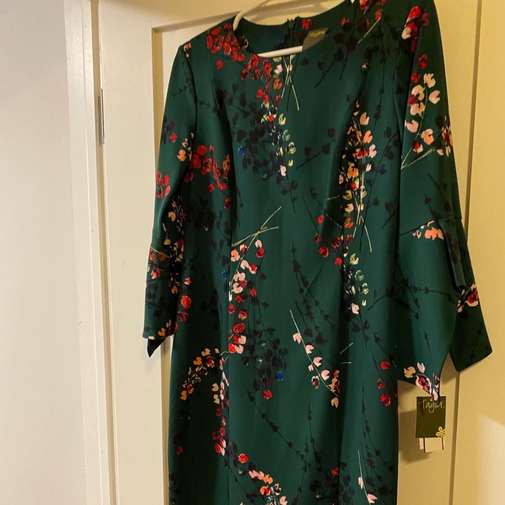 Taylor size 8 dress. Hunter multi. Style 9929M